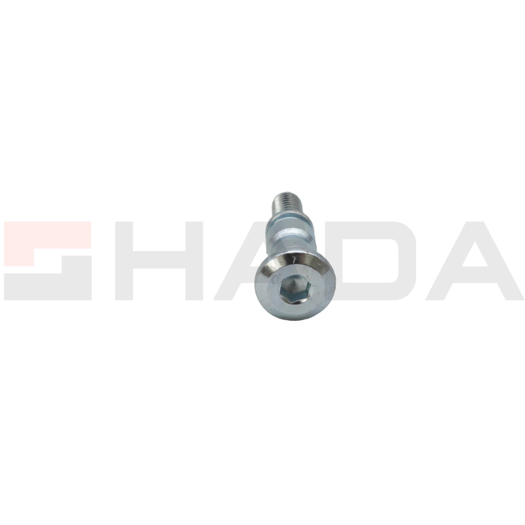 TORNILLO PASADOR PALANCA CAMBIOS ROUSER135/NS 200 /DISCOVER 125ST