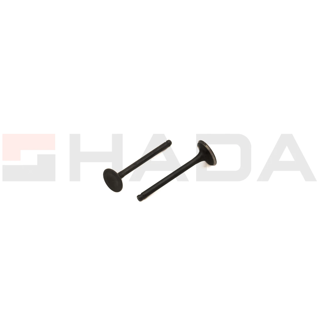 VALVULA G.SMASH  2 PCS ANTIMAGNETICA