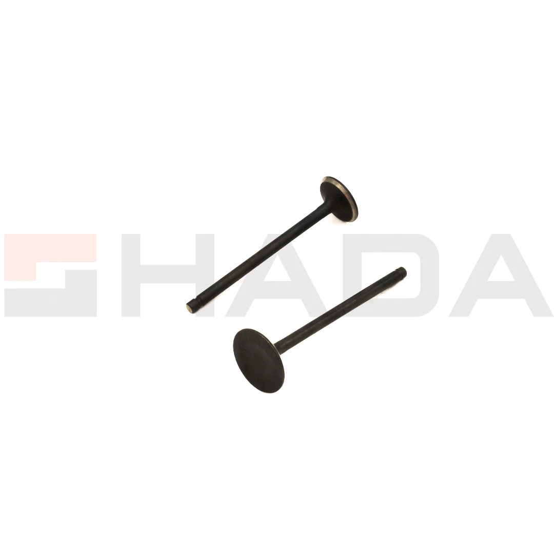 VALVULA H.TITAN 2000 2PCS ANTIMAGNETICA