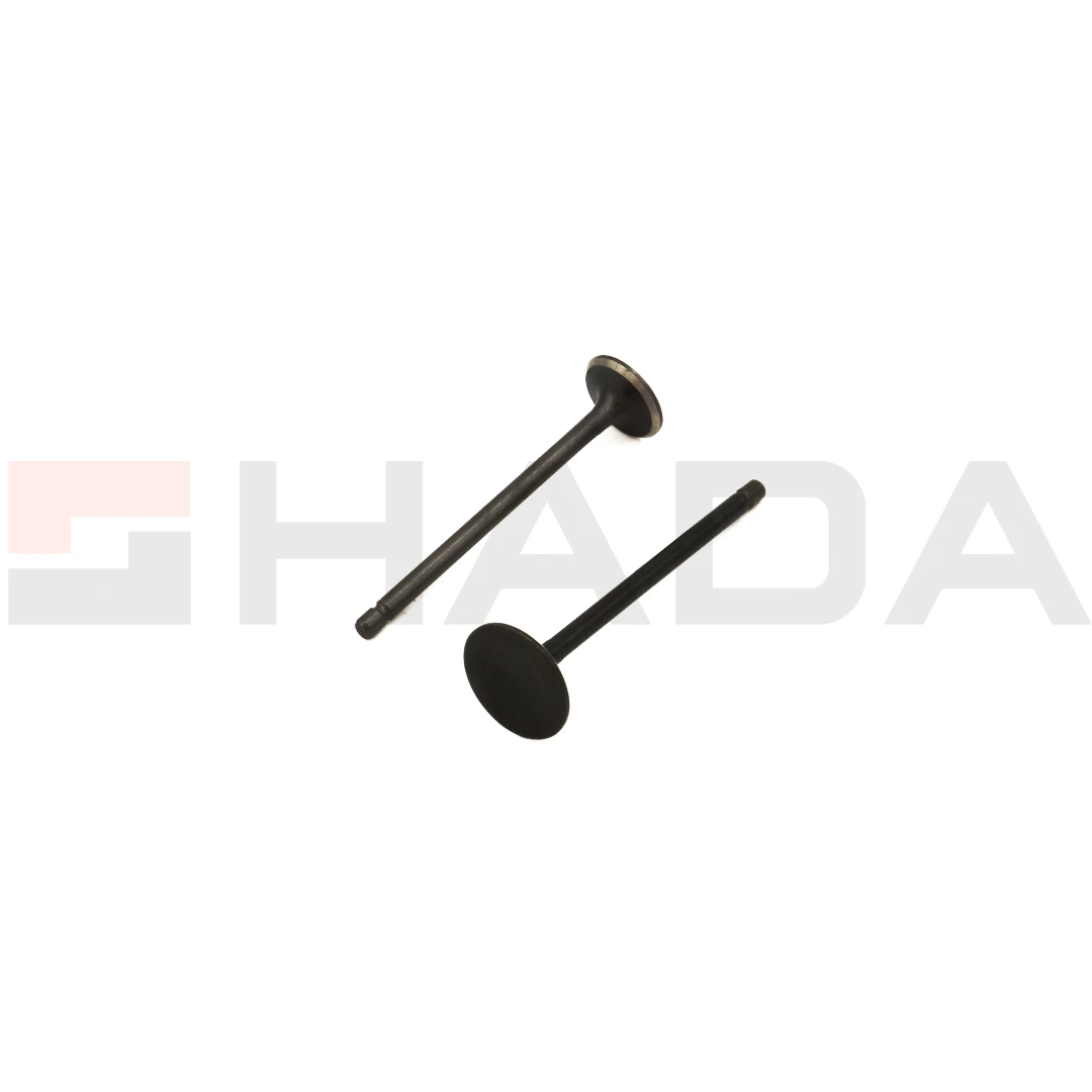 VALVULA H.STORM  2 PCS ANTIMAGNETICA