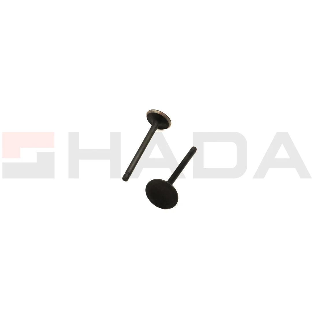 VALVULA Y.YBR / XTZ 125 2 PCS ANTIMAGNETICA