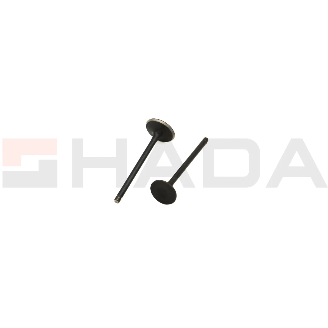 VALVULA Y.FZ 160 2 PCS ANTIMAGNETICA