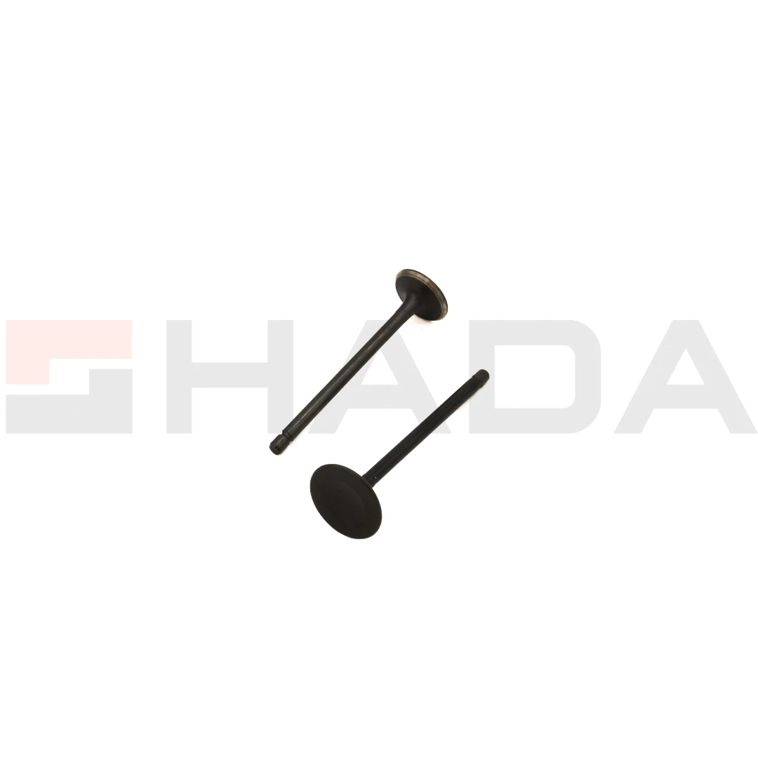 VALVULA Z.RX 150 2 PCS ANTIMAGNETICA