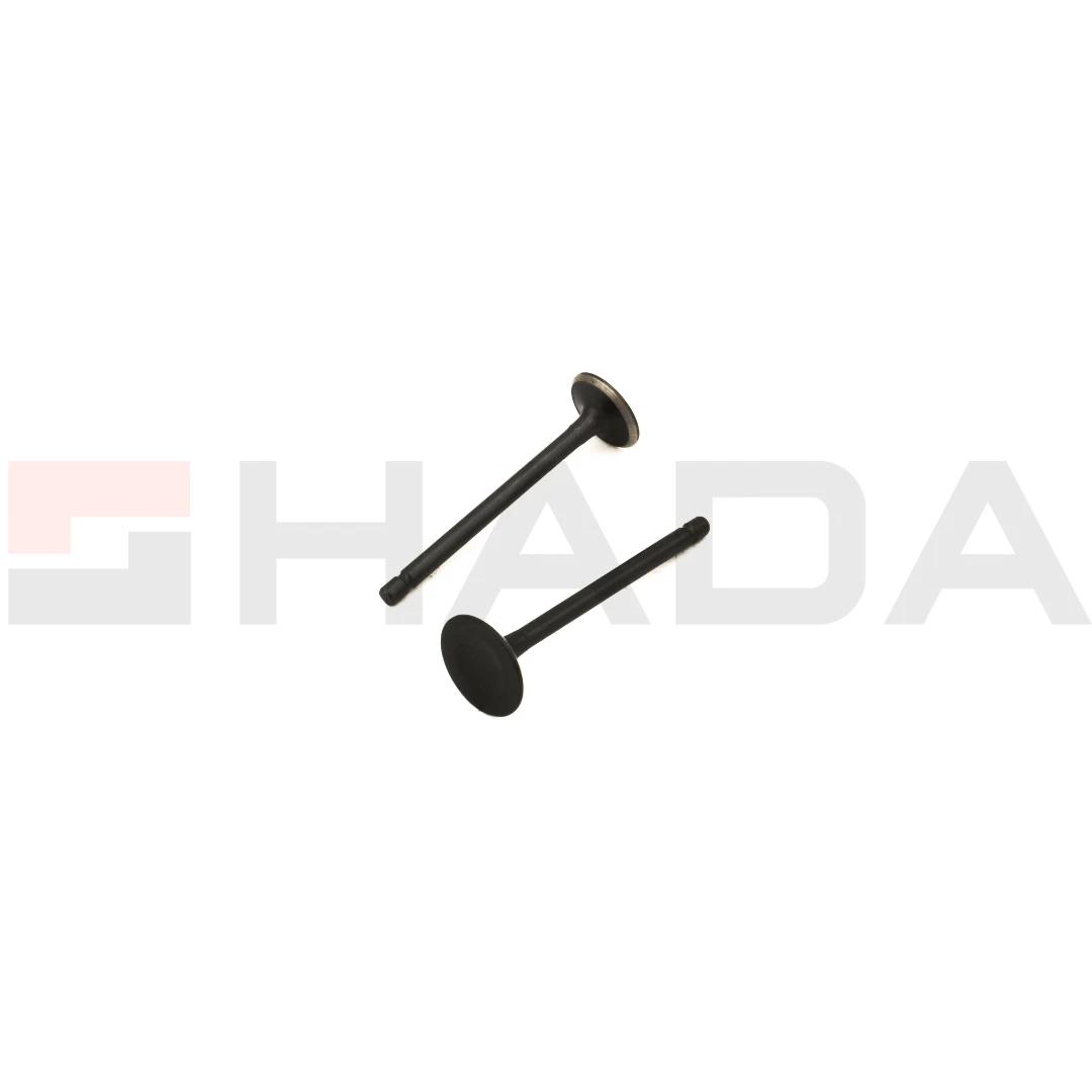 VALVULA H.BIZ 125 2 PCS ANTIMAGNETICA