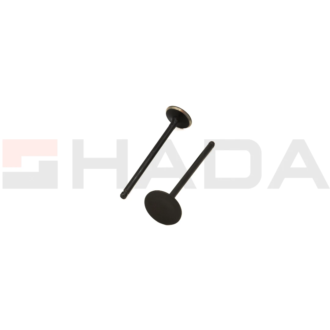 VALVULA S.GIXXER 150 2 PCS ANTIMAGNETICA