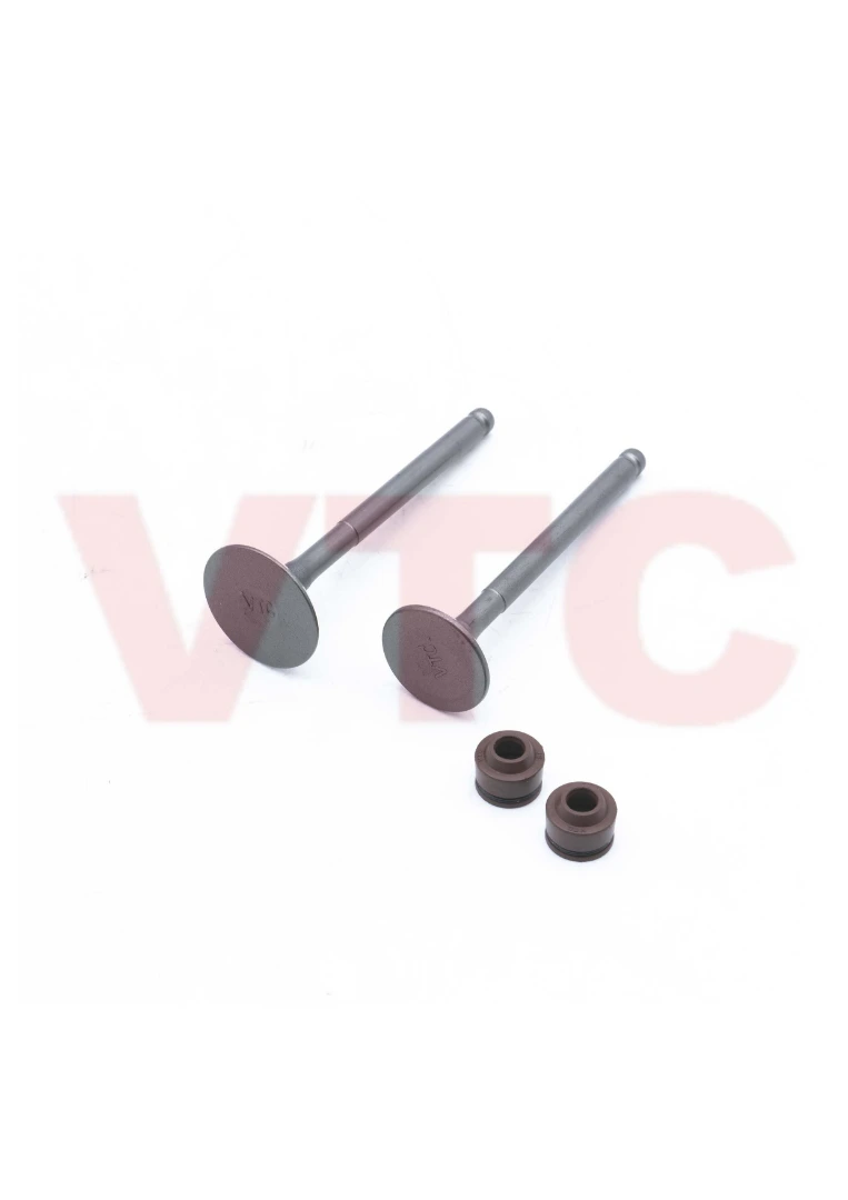 VALVULA C/RETEN G.SMASH 2PCS